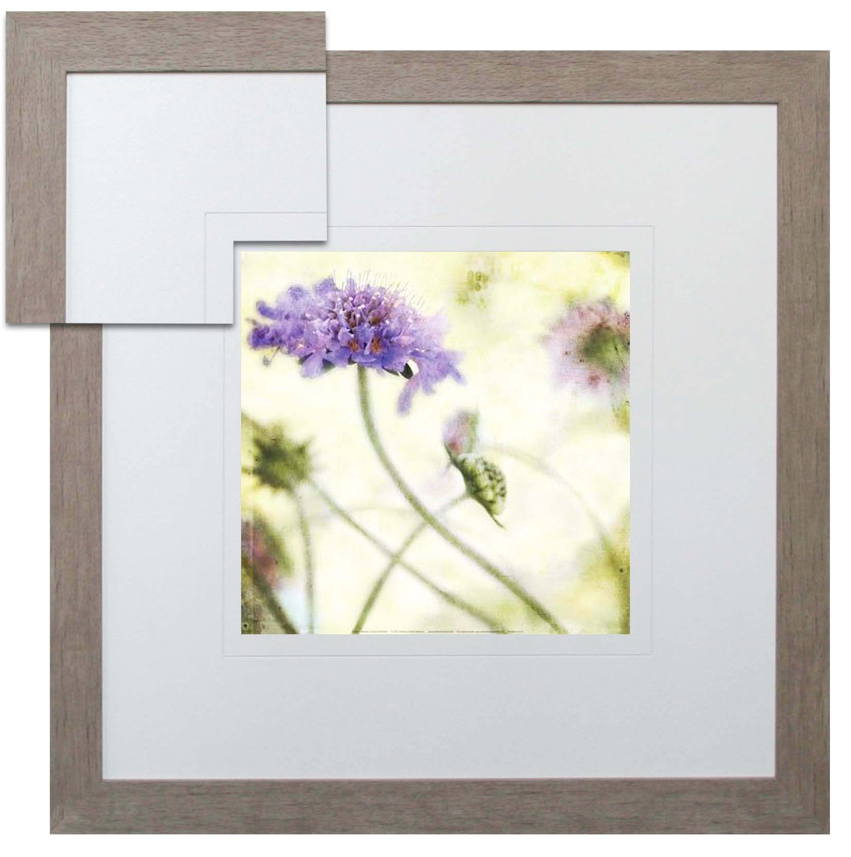 FP202A Wall décor art framed print floral light grey frame